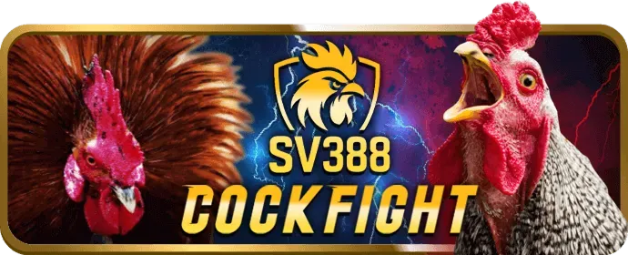 Hiểu rõ môn thể thao v999 app
